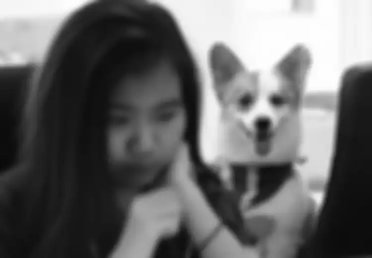 Setiap Hari Karyawan di Kantor Ini Harus Membawa Anjing Mereka Ke Kantor, Ini Alasannya