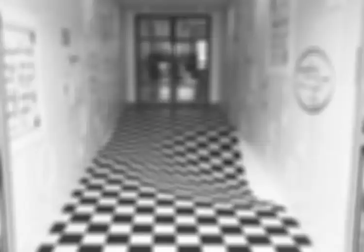 Unik, Perusahan Ini Membuat Lantai dengan Ilusi Optikal untuk Mencegah Orang Berlari di Lorong