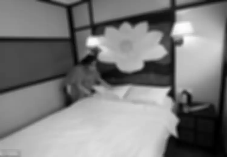 Dari Tester Kamar Tidur Hotel Hingga Penguji Permen Cokelat, Inilah Profesi Asyik Dengan Gaji Wah