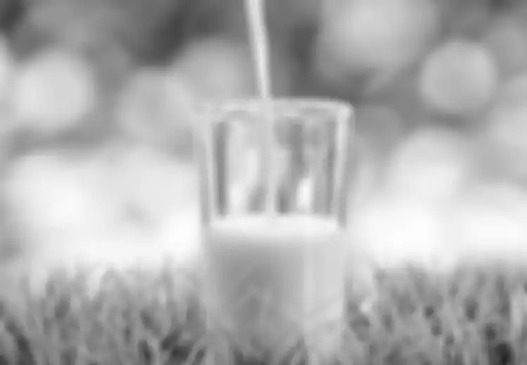 Susu Kambing Lebih Baik daripada Susu Sapi, Berikut 10 Manfaatnya!