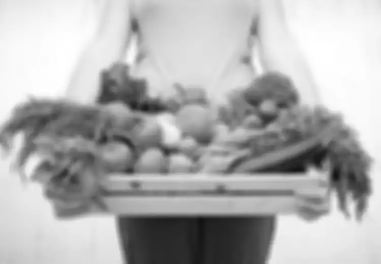 Empat Aturan Makan Raw Food Diet