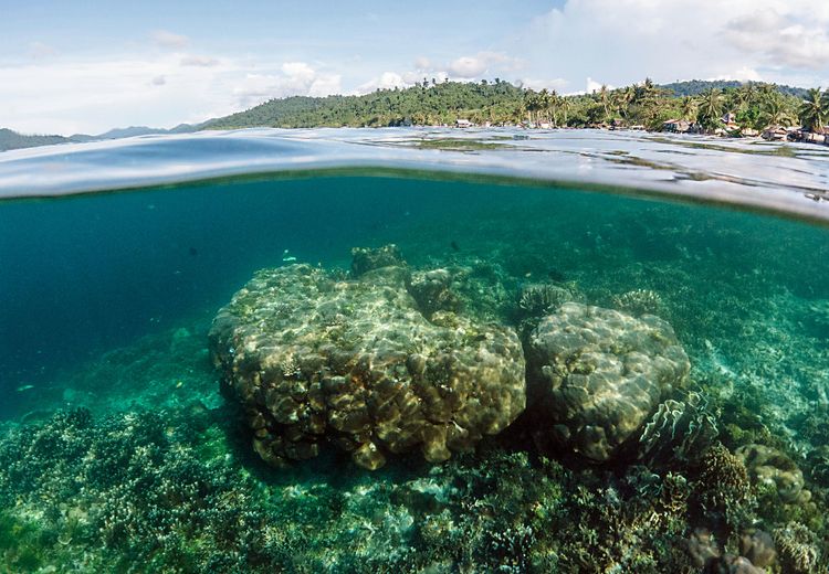 Pertaruhan Raja Ampat dan Sesal-Sesal Kehilangan 