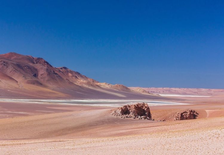 Tidak Disangka, Gurun Terkering di Dunia Membentang di Sepanjang Laut!