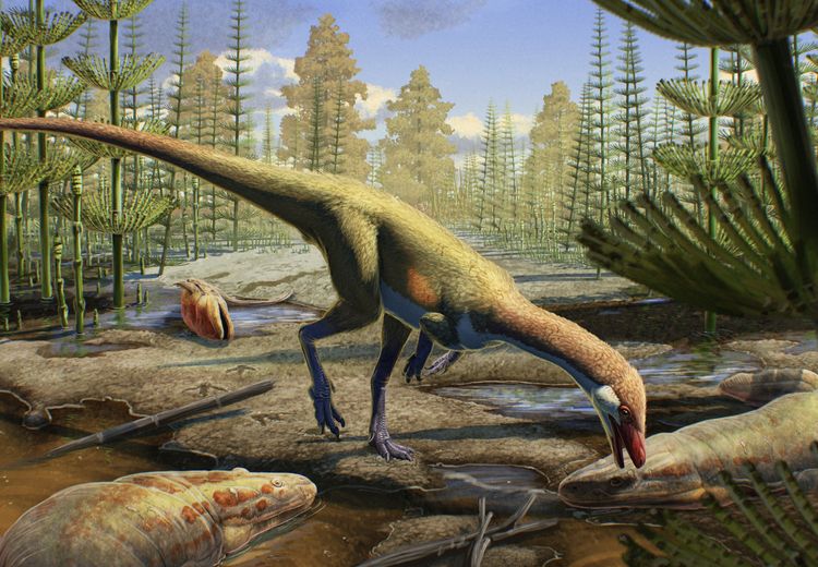 Ahvaytum bahndooiveche, Bukti Dinosaurus Awal di Belahan Bumi Utara