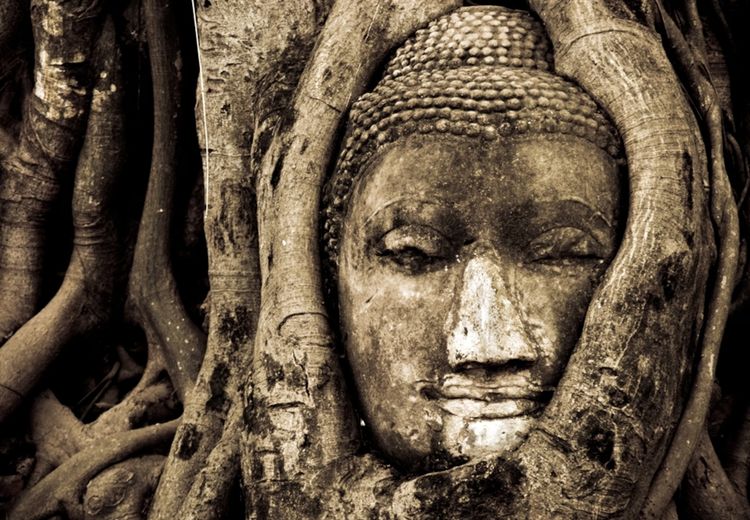 Perjalanan Hidup Siddhartha Gautama: Bagaimana Seorang Pangeran Menjadi Buddha?