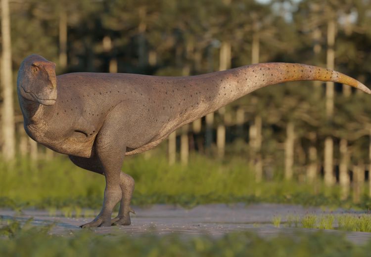 Mungkinkah Kita Kembalikan Dinosaurus Seperti di Jurassic World? Ini Jawaban Pakar DNA Purba