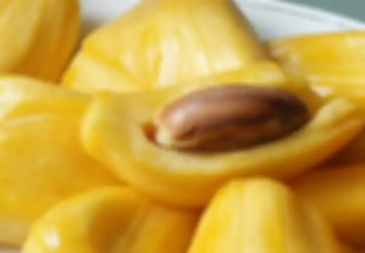 Penting, 5 Kategori Orang ini Tidak Boleh Makan Nangka, Bisa Bahaya!