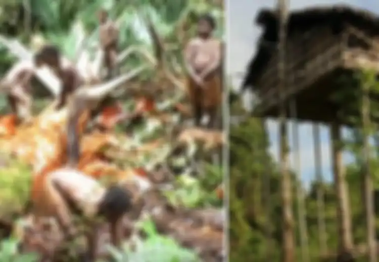 Korowai, Suku di Pedalaman Papua yang Masih Doyan Makan Daging Manusia