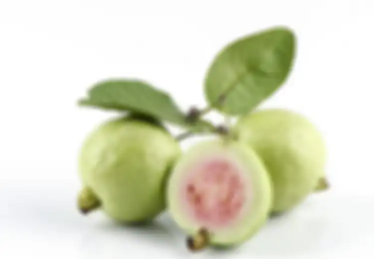 Coba Konsumsi Daun Jambu Biji Secara Rutin, Rasakan 5 Manfaat Ini!