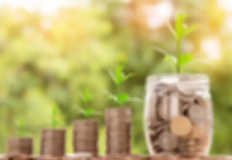Jangan Remehkan Perihal Keuangan, Simak 5 Panduan Sukses Finansial untuk Pasangan Baru Menikah Ini