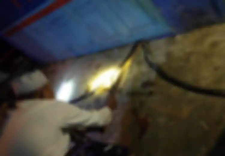 (Video) Wanita Banyumas Meninggal Digigit Ular Kobra, Benarkah Garam Mampu Usir Ular?