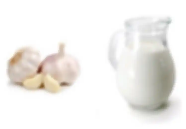 Minum Susu Bawang Putih Setelah Makan Malam untuk Mengatasi Masalah Disfungsi Ereksi hingga Penuaan Dini