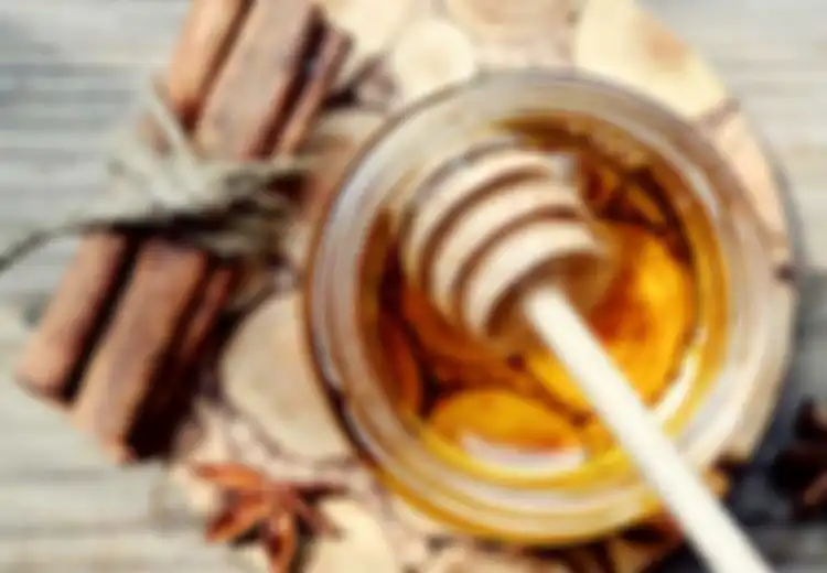 Sering Disebut Sebagai Makanan yang Sehat, Ternyata Madu Bisa Berubah Jadi Berbahaya Jika Dicampur dengan Bahan Ini, Hati-hati!