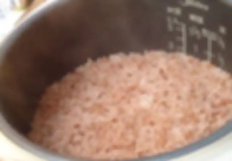 Begini Rupanya Rahasia Masak Nasi Merah Super Enak Cuma Pakai Rice Cooker, Hanya Pakai 3 Langkah Ini, Mau Coba?