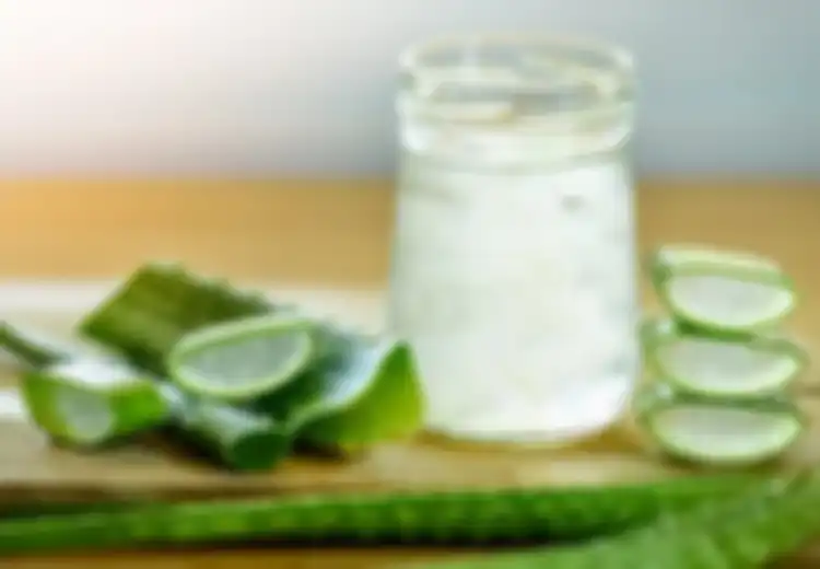 Cegah Kanker Hingga Kurangi Kolesterol dengan Rutin Minum Campuran Jus Lidah Buaya dan Bawang Putih, Begini Cara Membuatnya!