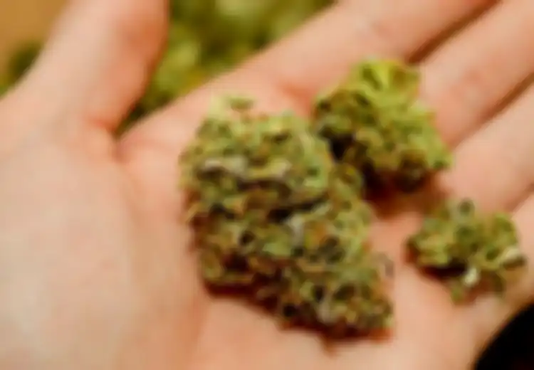Konsumsi Ganja Sintesis, 76 Orang Ditemukan Overdosis di Sebuah Taman