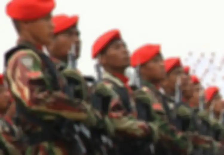 Padahal Terang-terangan Cuma Sebut TNI, Tapi Mengapa Hanya TNI AD Saja yang Marah dengan Perkataan Effendi Simbolon, Lantas Bagaimana dengan TNI AL dan TNI AU?