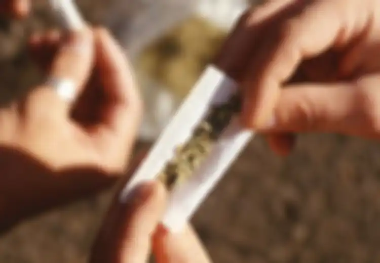 Polisi Bongkar Kasus Peredaran 80 kg Ganja di Kampus: Ini yang Terjadi pada Tubuh Jika Konsumsi Ganja