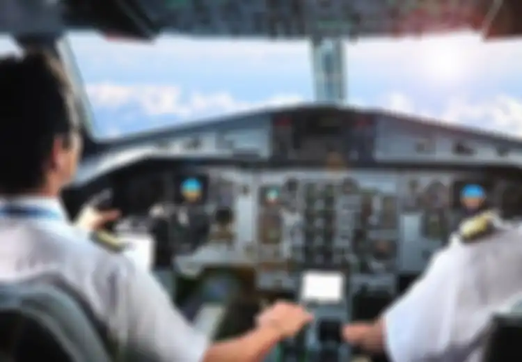 ‘Kita Semua Bisa Melanjutkan Hidup’ Kisah Pilot dan Pramugari yang Banting Setir  Akibat Pandemi Virus Covid-19
