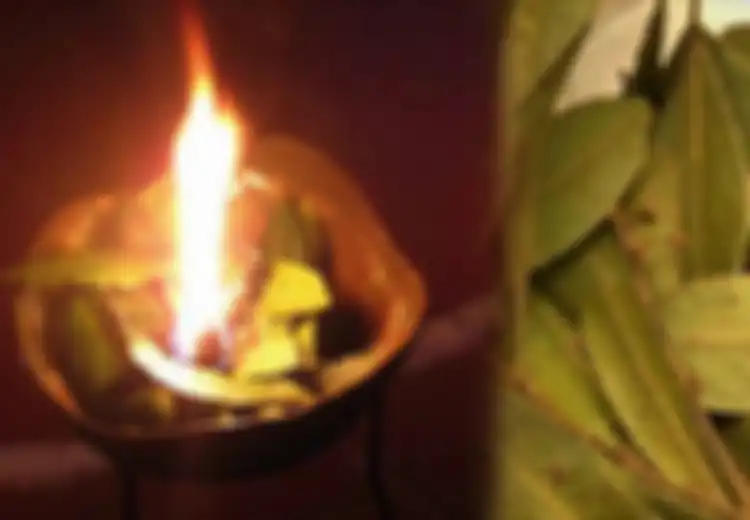 Pernah Coba? Bakar Daun Salam dalam Ruangan Selama 10 Menit, Rasakan Sensasi yang Berbeda Ini dalam Diri Anda