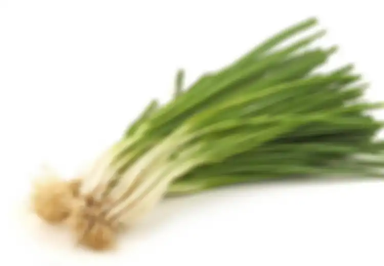 Sering Digunakan Sebagai Pelengkap Masakan, Begini 4 Cara Simpan Daun Bawang Agar Tetap Segar dan Tidak Lembek, Coba Yuk!