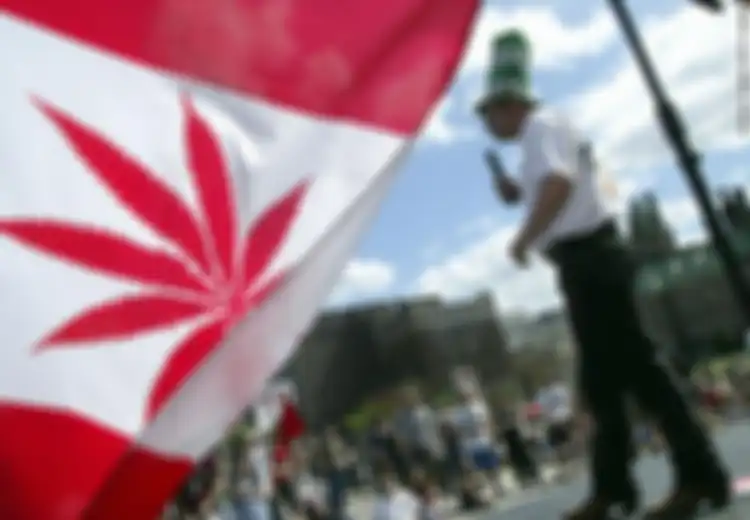 Kanada Memberlakukan Legalisasi Ganja, Orang-orang Malah Berbondong-bondong Membelinya