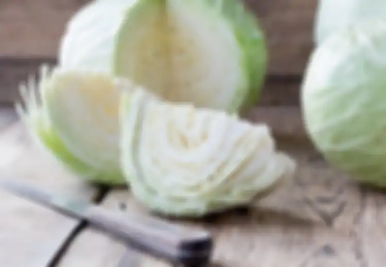 Stop Jangan Lagi Olah Kubis dengan Cara Seperti Ini, Bisa Bikin Satu Keluarga Langsung Sakit-sakitan, Efeknya Benar-benar Mengerikan!