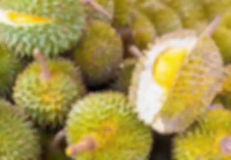 Durian Ternyata Bisa Jadi Solusi Untuk Hamil, Tapi Kapan Waktu yang Tepat Memakannya?