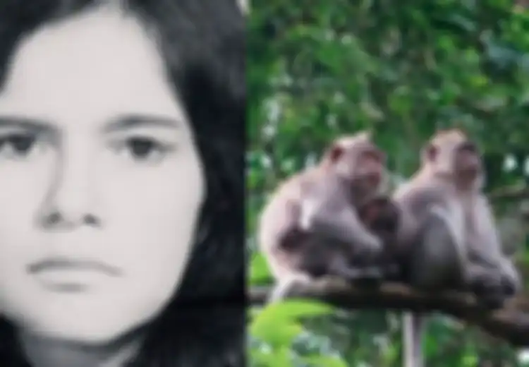 Kisah Pilu Marina Chapman; Saat Balita Dibuang ke Hutan Lalu Dirawat Kawanan Kera, Sayang Harus Berakhir Seperti Ini di Tangan Pemburu yang Menyelamatkannya