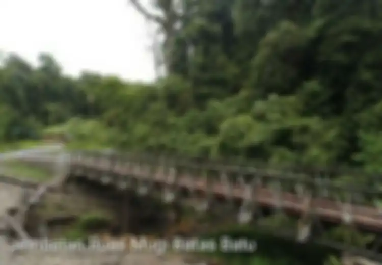 Kronologi Pembantaian 31 Pekerja PT Iskara di Trans Papua Oleh OPM, Jenazah Belum Bisa Diambil