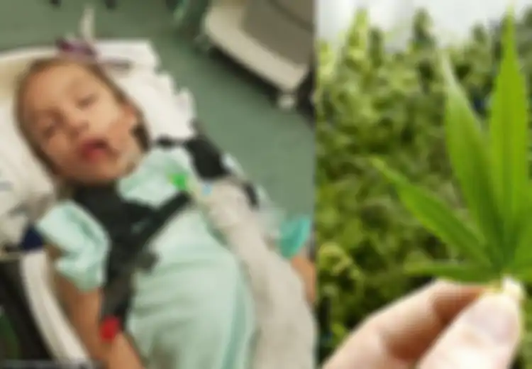 Menderita Kejang 300 Kali Sehari, Nasib Gadis 9 Tahun Ini Berubah Lebih Baik Setelah Mengenal Ganja