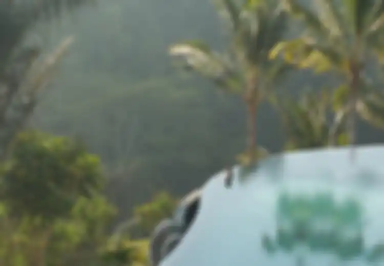 Hijau dan Damainya Ubud, Tak Hanya Tenteramkan Tubuh, Tapi Juga Jiwa
