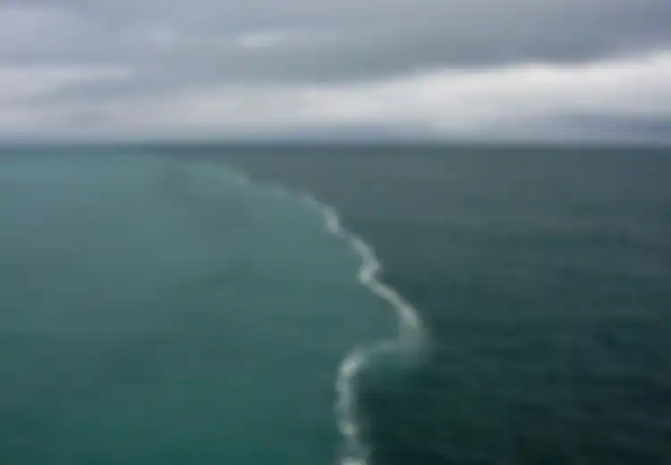 Bikin Orang Berdebat, Misteri di Balik Fenomena Dua Air Laut yang Bertemu Tapi Tidak Menyatu di Teluk Alaska Akhirnya Terkuak, Apa Itu?