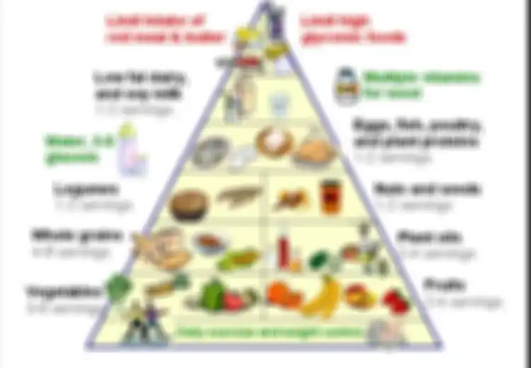 Nah, Ini Dia Piramida Makanan Baru untuk Hidup yang Lebih Sehat
