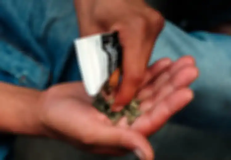 Israel Sudah Legalkan Ganja untuk Medis, Ternyata Warganya Masih Tak Puas, 'Hujan' Ganja pun Terjadi di Lapangan Tel Aviv