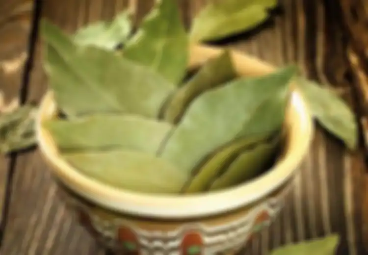 Mengobati Diabetes Menggunakan Daun Salam? Begini Caranya!