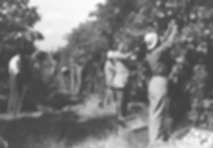 Gerakan Kibbutz Israel: Komunitas Marxist yang Berubah Seiring Zaman