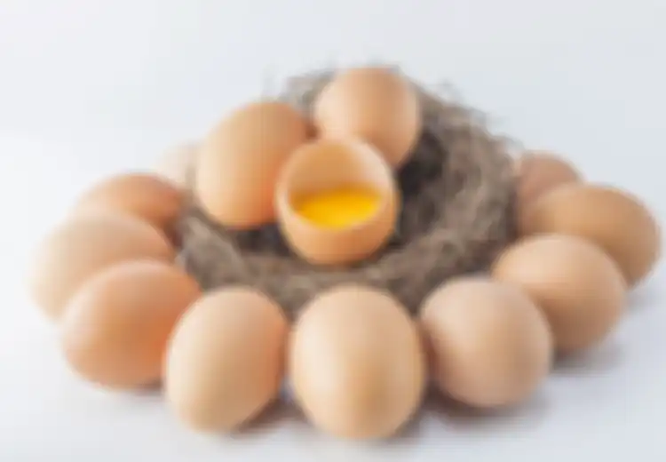 Telur Ayam Infertil Sempat Bikin Harga Telur Ayam Jatuh, Apa Bedanya dengan Telur Ayam Ras?