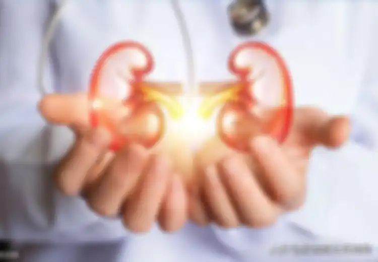 Jaga Kesehatan Ginjal dengan 5 Makanan dan Minuman yang Punya Khasiat Cuci Darah Ini, Salah Satunya Minuman yang Dipercaya Penambah Energi