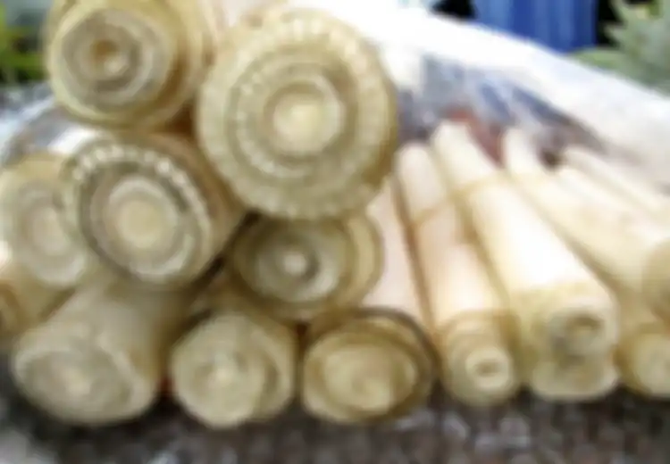 5 Khasiat Luar Biasa Batang Pohon Pisang, Mampu Cegah Batu Ginjal hingga Sembuhkan Diabetes, Yuk Jangan Mau Ketinggalan!