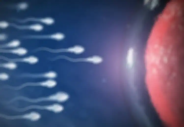 Mungkinkah Wanita Bisa Hamil Bila Sperma Dikeluarkan di Luar Organ Intim Kewanitaan? Begini Penjelasannya.