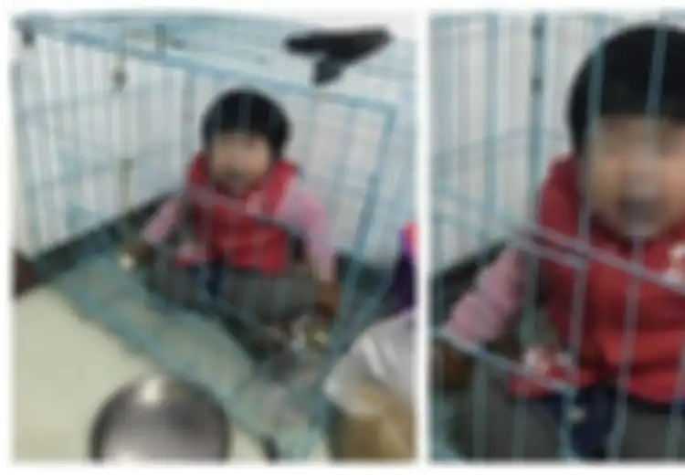 Ayah Tega Kurung Anak di Kandang Anjing dan Lolos dari Jerat Hukum, Kok Bisa?