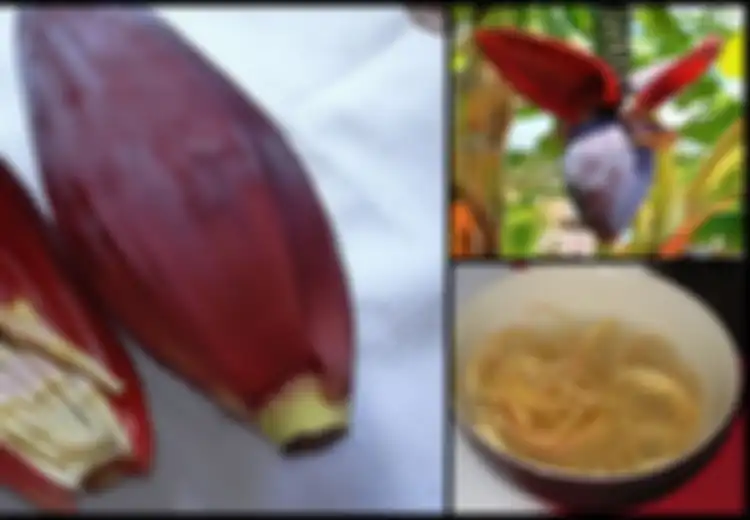 Dari Melindungi Rahim, Meningkatkan Masa Hidup, Hingga Menyembuhkan Infertilitas, Inilah Manfaat Jantung Pisang untuk Kesuburan Wanita