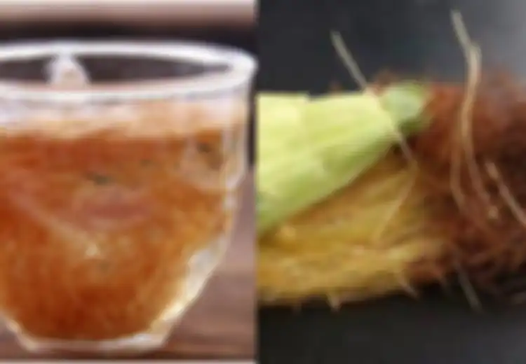 Tunggu! Jangan Langsung Dibuang, Rambut Jagung Punya 5 Manfaat untuk Kesehatan, Salah Satunya Cegah Gagal Ginjal, Mau Coba?