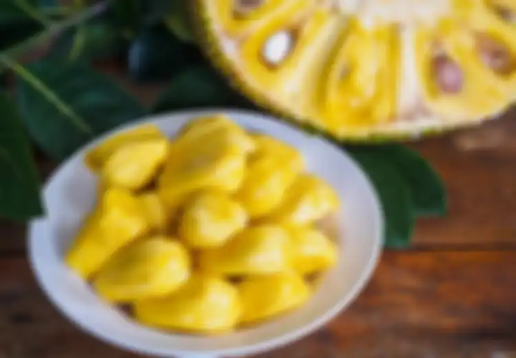 Makan Buah Nangka Saat Hamil Berakibat Fatal? Cek Kebenarannya Berikut..