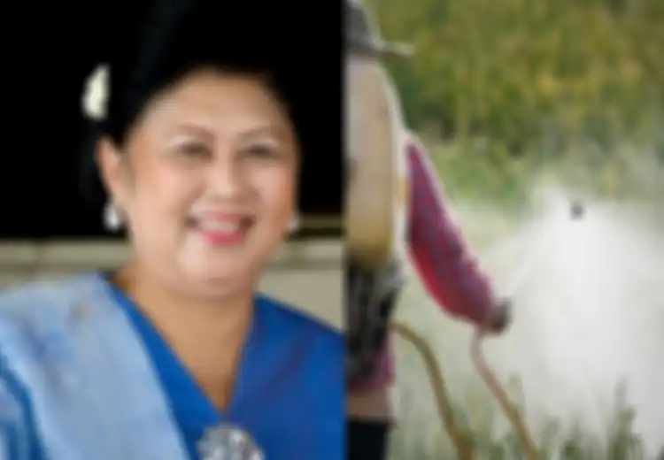 Ani Yudhoyono Meninggal Dunia: Zat yang Terkandung dalam Deterjen Hingga Pewarna Ini Ternyata Bisa Jadi Penyebabnya
