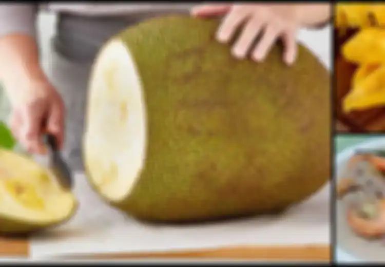 7 Manfaat Menakjubkan Nangka, Bisa Jadi Andalan Penyembuh Maag Juga!