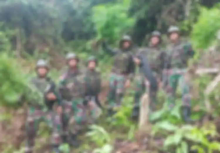 Sedang Patroli Perbatasan Indonesia-Papua Nugini, TNI Justru Temukan Ladang Ganja Seluas 4 Hektar
