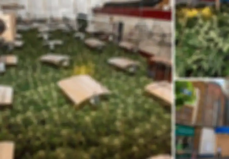 Terletak Di Dalam Sebuah Gedung di Tengah Kota, Inilah Kebun Ganja Terselubung Bernilai Rp50 Milliar