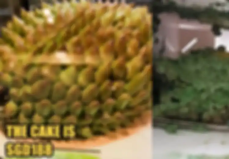 Pesan Online Kue Durian untuk Rayakan Ulang Tahun Ibunya, Wanita Ini Dikecewakan dengan Hasilnya